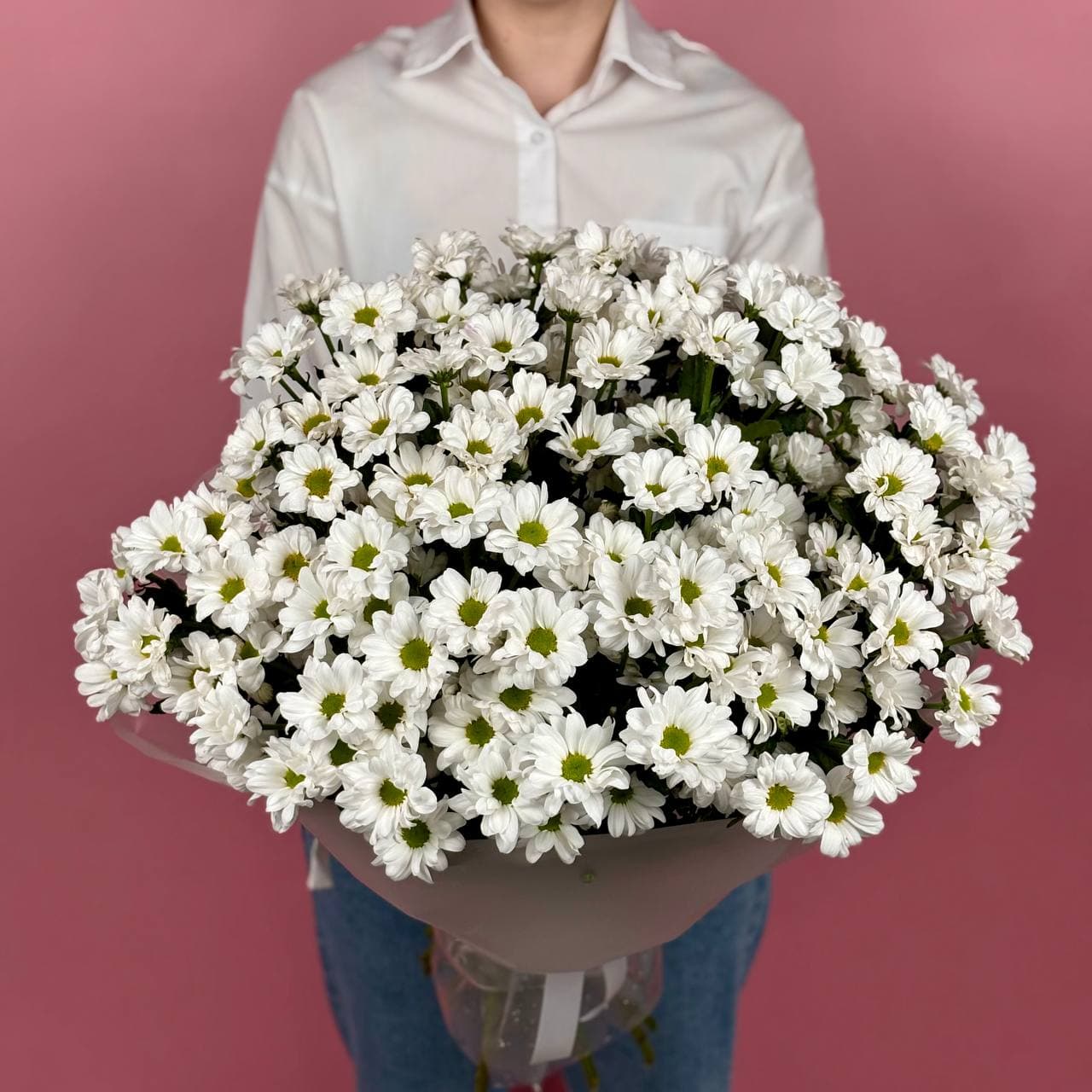 Хризантема кустовая в упаковке, 19 шт. — миниатюра 4