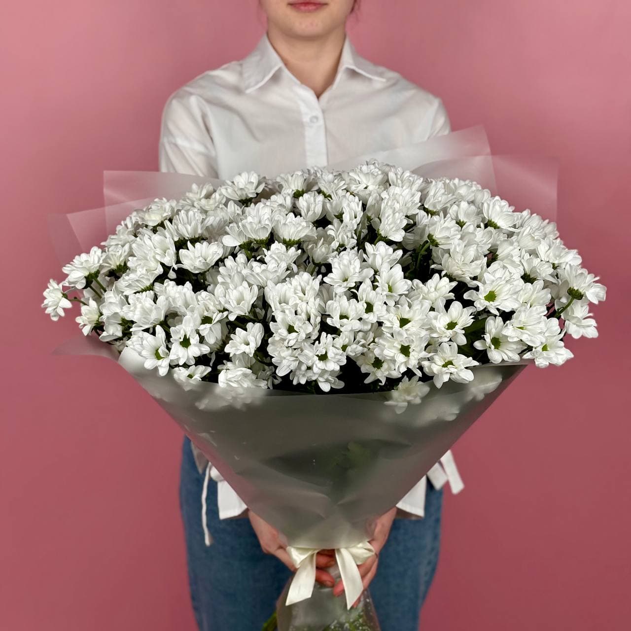 Хризантема кустовая в упаковке, 25 шт. — миниатюра 4